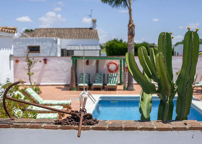 Mayo A Conil De La Frontera